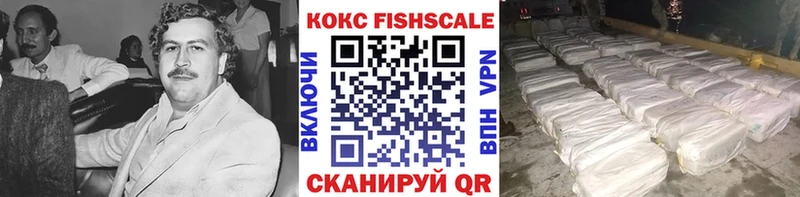 Купить закладки  Вилюйск  COCAIN Columbia 