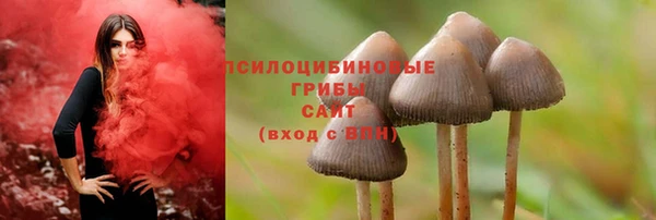 spice Зеленокумск